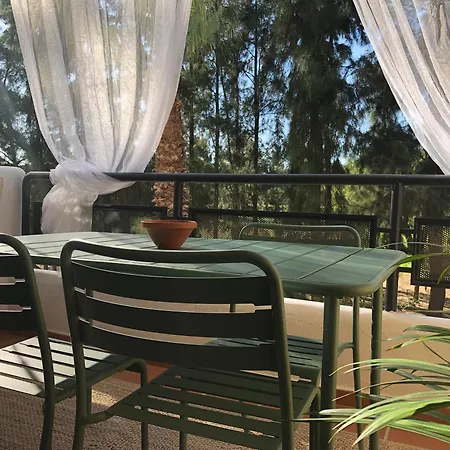 Cigueenas El Portil