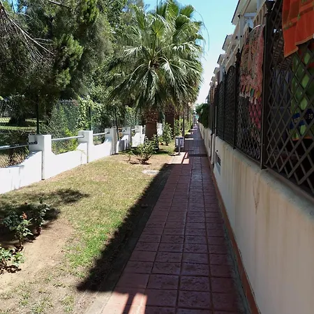 Cigueenas El Portil