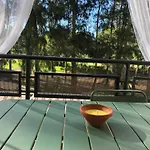 Cigueenas El Portil