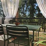 Cigueenas El Portil