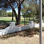 Cigueenas