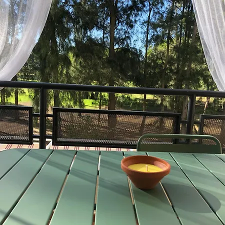Cigueenas El Portil